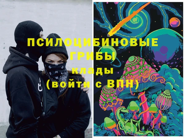 соль курить ск Верея